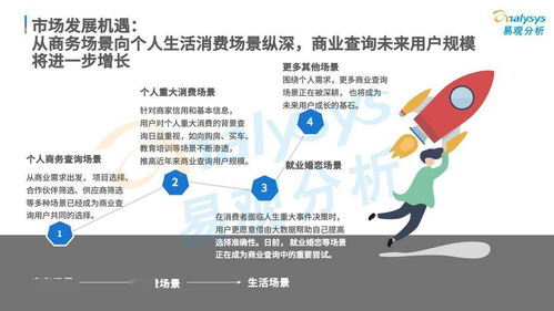 商业查询 数字时代的社会信用基石与中国市场发展机遇